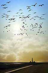 Image showing Lighthouse with birds