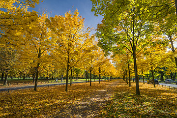 Image showing Autumn in a park in Dresden