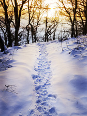 Image showing Footprints in snow