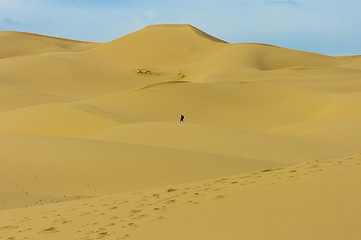 Image showing Sand dune Mongolia