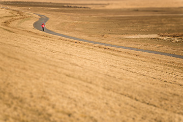 Image showing Woman wanders