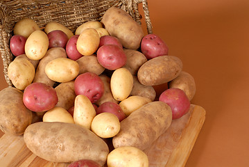 Image showing Russet, red and white potatoes spilling out of a basket onto cut