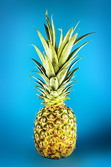 Image showing Pineapple on blue underground