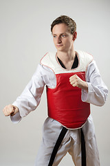 Image showing Taekwon-Do fighter