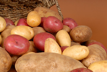 Image showing Closeup of russet, red and white potatoes spilling out of a bask