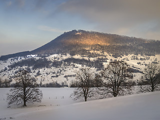 Image showing Winter landscape with trees