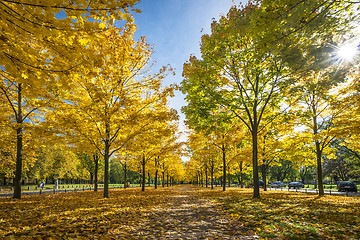 Image showing Park in Dresden