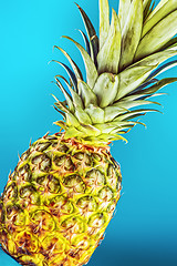 Image showing Closeup pineapple