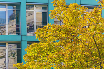 Image showing house with tree