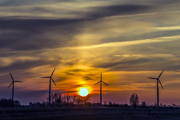 Image showing Four windmills in the evening