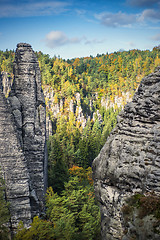 Image showing Colored leafes in Saxon Switzerland