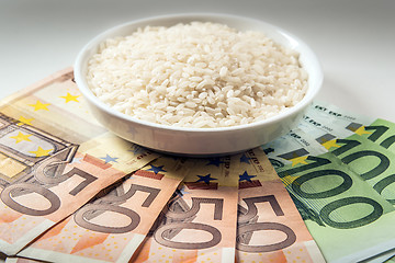 Image showing Rice and Money