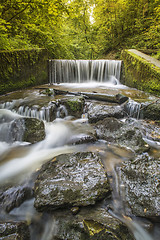 Image showing Waterfall in forest