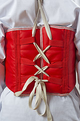 Image showing Taekwondo body protector vest