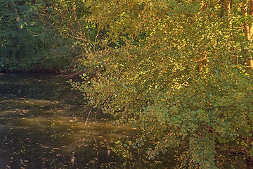 Image showing Water ditch on sunset