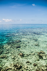 Image showing the tropical sea with blue water, Maldives