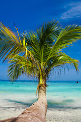 Image showing White sands beach with crystal clear ocean in Maldives.