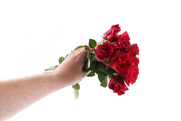 Image showing hand with fresh red roses