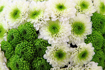 Image showing green wedding flowers 