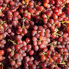 Image showing red grapes background