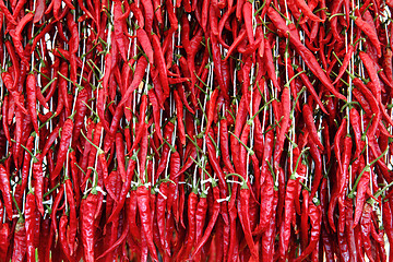 Image showing red hot chili peppers background
