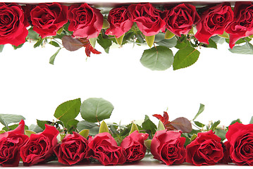 Image showing fresh red roses as frame