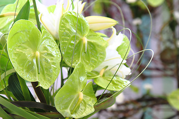 Image showing green wedding flowers 