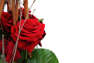 Image showing red rose decoration 