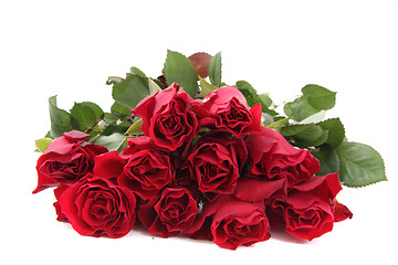 Image showing fresh red roses i