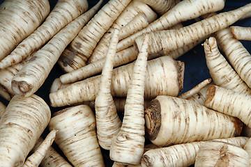 Image showing parsley roots background