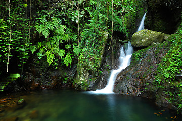 Image showing Cascade in forest