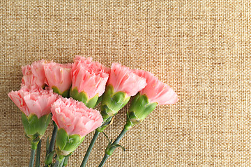 Image showing Pink carnations flower for Mother day