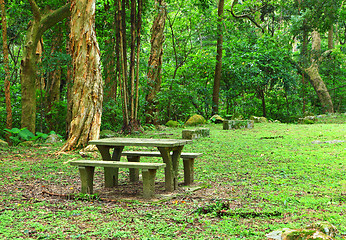Image showing picnic place in forest