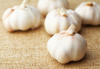 Image showing Garlic