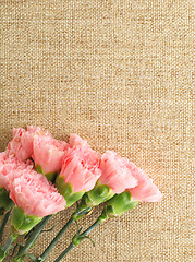 Image showing carnation on the linen pattern 