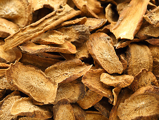 Image showing Herbal , dry burdock root