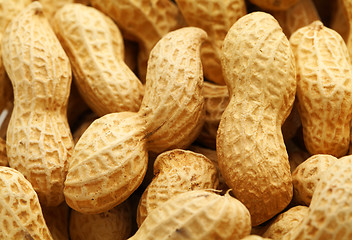 Image showing peanut