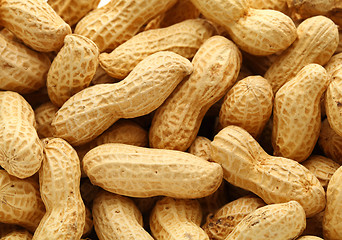 Image showing peanut