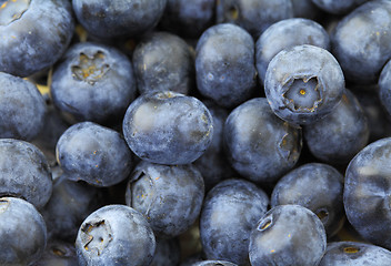 Image showing Blueberry