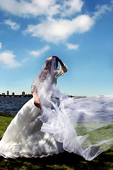 Image showing Bride outdoors