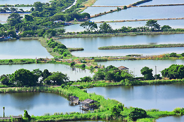 Image showing Fish hatchery pond