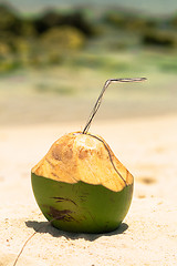 Image showing Coconut with drinking straw on a palm tree at the sea