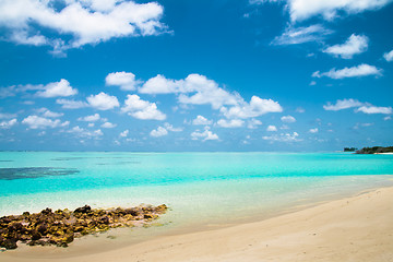 Image showing Tropical beach on the island Vilamendhoo in the Indian Ocean, Maldives