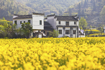 Image showing Rural houses in Wuyuan, Jiangxi Province, China.