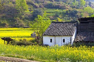 Image showing Wuyuan landscape in China at spring