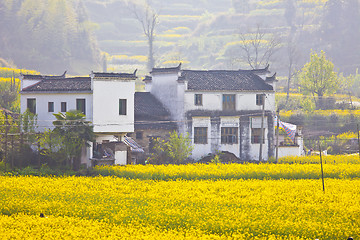 Image showing Wuyuan landscape in China at spring