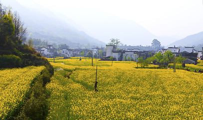 Image showing Rural landscape in Wuyuan, Jiangxi Province, China.