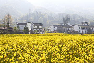 Image showing Rural landscape in Wuyuan, Jiangxi Province, China. 