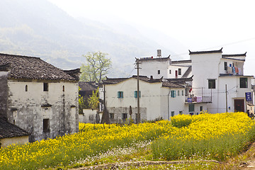 Image showing Wuyuan landscape in China at spring
