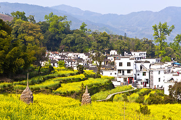 Image showing Rural landscape in Wuyuan, Jiangxi Province, China.